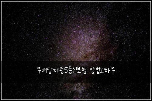 ๋ฌด๋ฐฐ๋น์ฒด์ฆ5์ข
์ ๋ณดํ ๋ฐฉ๋ฒ๋
ธํ์ฐ