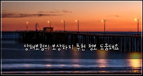 상해보험의 보상하지 추천 정보 도움돼요