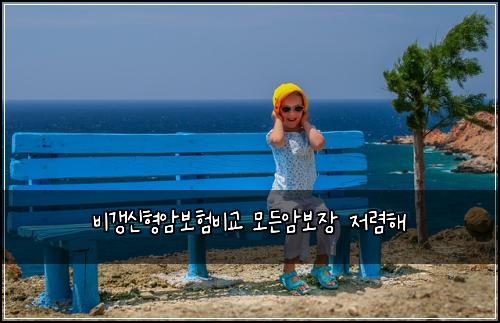 ๋น๊ฐฑ์ ํ์๋ณดํ๋น๊ต ๋ชจ๋ ์๋ณด์ฅ ์ ๋ ดํด