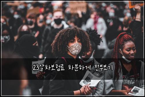 23살차보험료 차분하게 전부보기