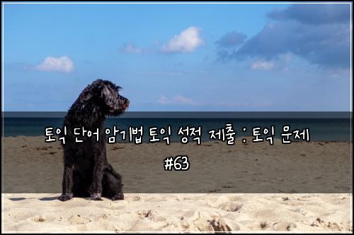 ํ ์ต ๋จ์ด ์๊ธฐ๋ฒ ํ ์ต ์ฑ์ ์ ์ถ : ํ ์ต ๋ฌธ์ #63