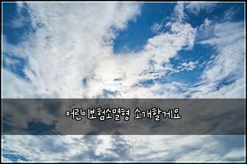 어린이보험소멸형 소개할게요