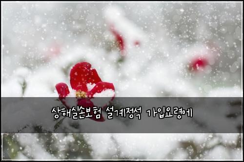 상해실손보험 설계정석  가입요령에