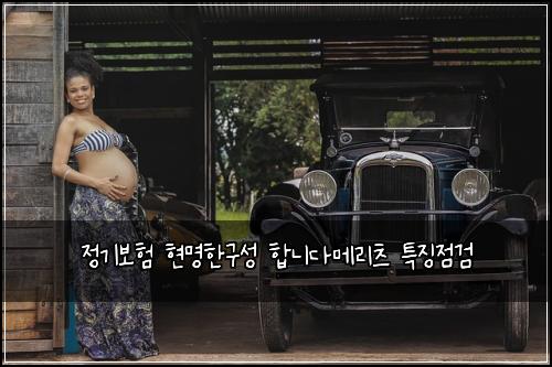정기보험 현명한구성  합니다메리츠 특징점검