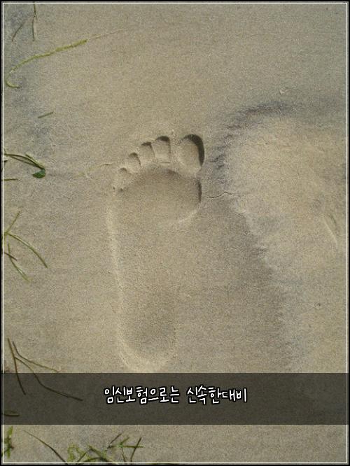 임신보험으로는 신속한대비