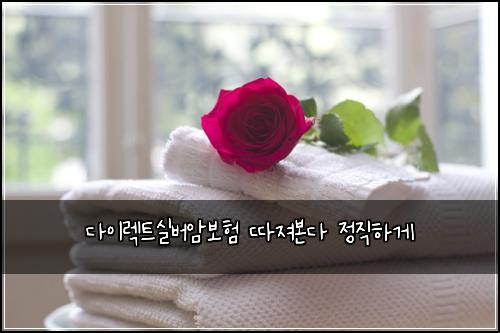 다이렉트실버암보험 따져본다  정직하게