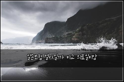 ์ค์๋ณดํ ์ผ๋ง์ผ๊น ๋น๊ต ์๋ฃ์ค๋น์