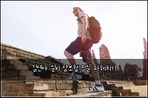 김연아 실비 암보험 진실 파헤치기