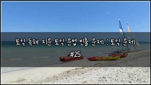 토익 독해 지문 토익 문법 빈출 문제 : 토익 문제 #25