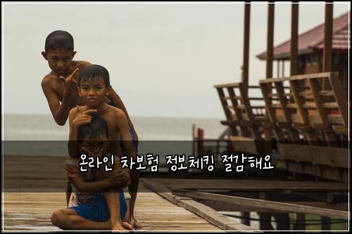 온라인 차보험 정보체킹  절감해요