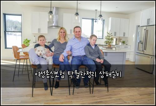 여성종신보험 탁월한정리  상해실비