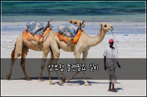 ์๋ณดํ ํ๋ํ์ ์ค๋น