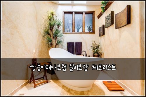 쌍둥이태아보험 실비보장 체크리스트