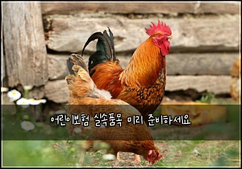 ์ด๋ฆฐ์ด๋ณดํ ์ค์ํ๋ชฉ ๋ฏธ๋ฆฌ ์ค๋นํ์ธ์
