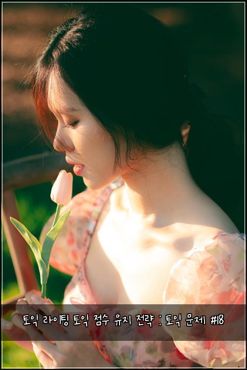 토익 라이팅 토익 점수 유지 전략 : 토익 문제 #18