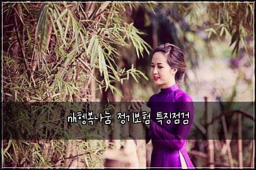 nh헹복나눔 정기보험 특징점검 