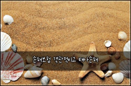 ์ํด๋ณดํ ๊ฐ๊ด์ ๋น๊ต ํ์์ํด