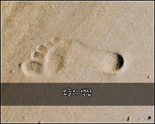오늘의 색상