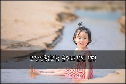 보장성종신보험 순위와견적  견적