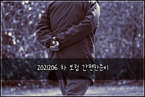 2021206 차 보험 간편한준비 