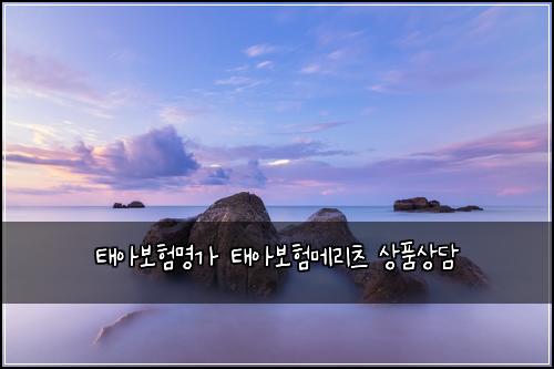 태아보험명가 태아보험메리츠 상품상담