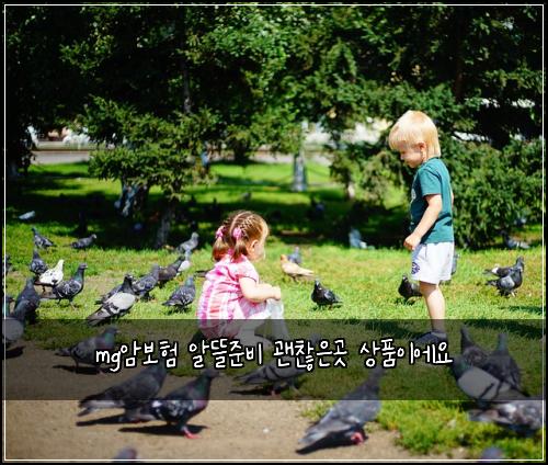 mg์๋ณดํ ์๋ฐ์ค๋น ๊ด์ฐฎ์๊ณณ ์ํ์ด์์