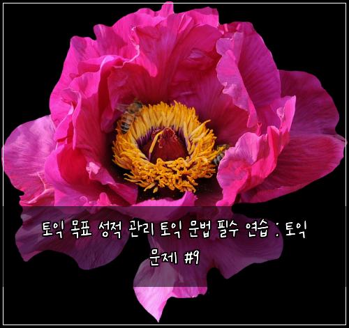 ํ ์ต ๋ชฉํ ์ฑ์ ๊ด๋ฆฌ ํ ์ต ๋ฌธ๋ฒ ํ์ ์ฐ์ต : ํ ์ต ๋ฌธ์ #9