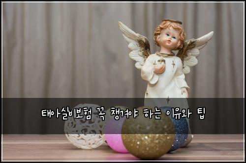태아실비보험 꼭 챙겨야 하는 이유와 팁