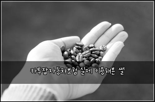 카투잡자동차보험 실제 이용해본 썰