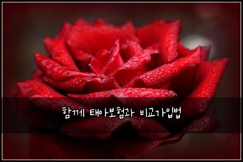 ν¨κ» νμ보νκ³Ό λΉκ΅κ°μ
λ²