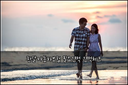 한달자동차보험 필요견적  견적체크