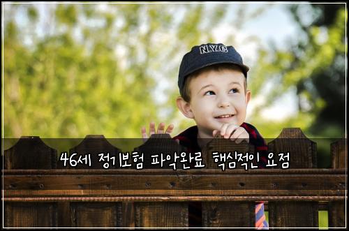 46세 정기보험 파악완료  핵심적인 요점