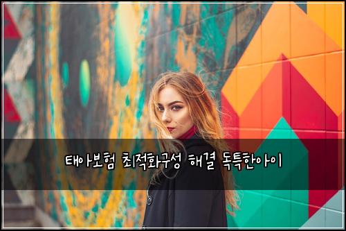 태아보험 최적화구성  해결 독특한아이