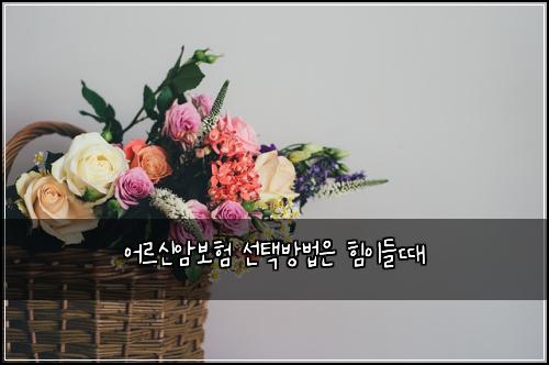 ์ด๋ฅด์ ์๋ณดํ ์ ํ๋ฐฉ๋ฒ์ ํ์ด๋ค๋