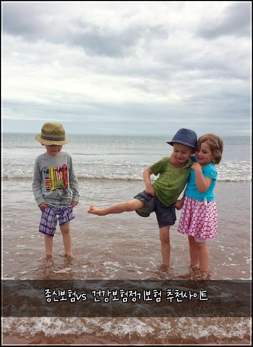 종신보험vs 건강보험정기보험 추천사이트