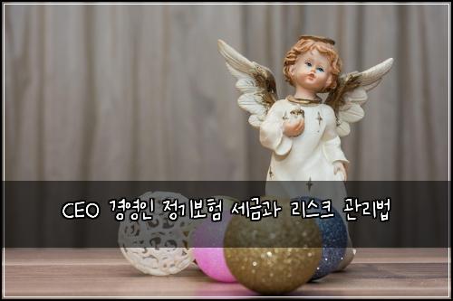 CEO 경영인 정기보험 세금과 리스크 관리법