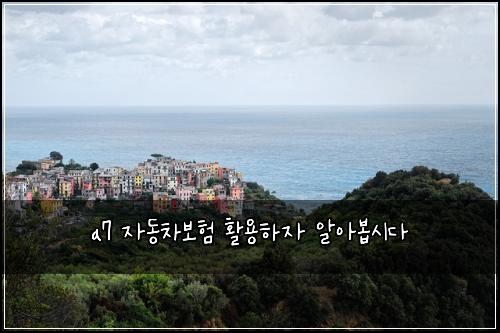 a7 자동차보험 활용하자  알아봅시다
