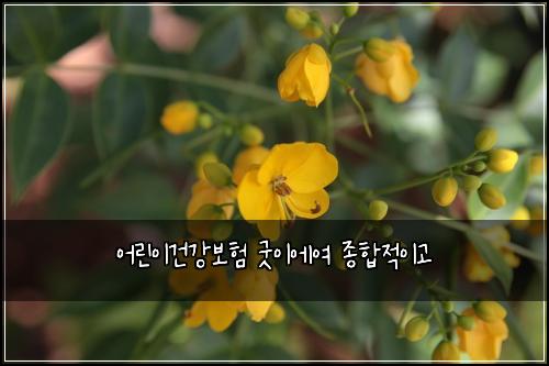 ์ด๋ฆฐ์ด๊ฑด๊ฐ๋ณดํ ๊ตฟ์ด์์ฌ ์ข
ํฉ์ ์ด๊ณ