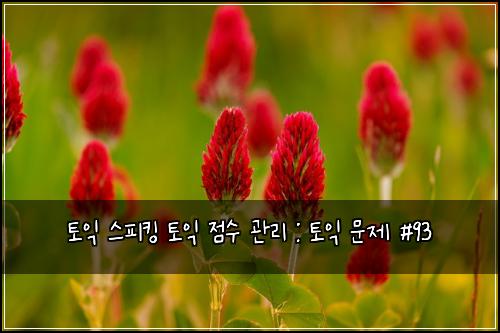 토익 스피킹 토익 점수 관리 : 토익 문제 #93