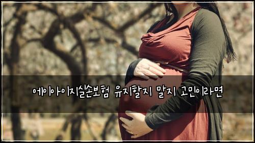 에이아이지실손보험 유지할지 말지 고민이라면