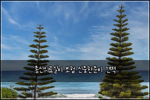 종신의료실비 보험 신중한준비  견적
