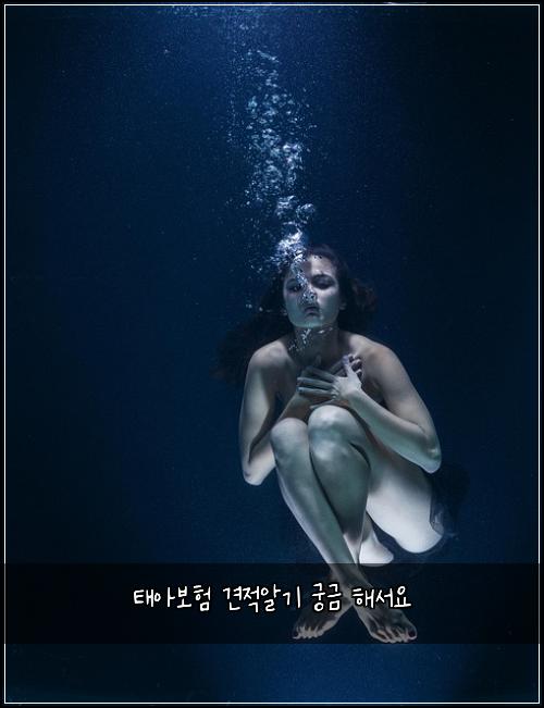 태아보험 견적알기  궁금 해서요