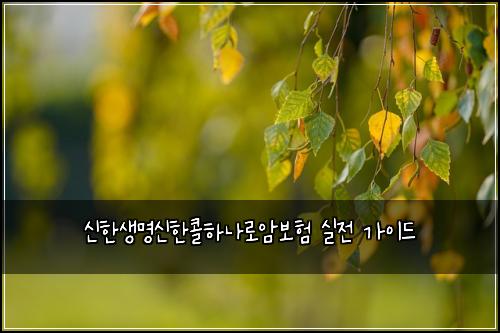 신한생명신한콜하나로암보험 실전 가이드