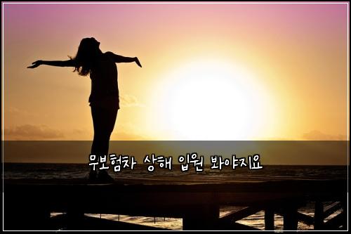 무보험차 상해 입원 봐야지요