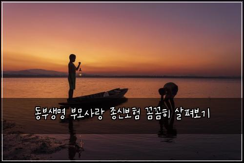 동부생명 부모사랑 종신보험 꼼꼼히 살펴보기