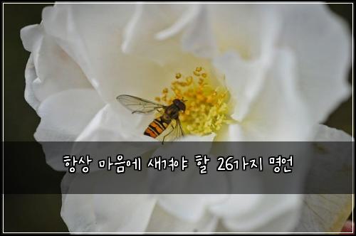 ํญ์ ๋ง์์ ์๊ฒจ์ผ ํ 26๊ฐ์ง ๋ช
์ธ