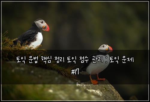 ํ ์ต ๋ฌธ๋ฒ ํต์ฌ ์ ๋ฆฌ ํ ์ต ์ ์ ๊ด๋ฆฌ : ํ ์ต ๋ฌธ์ #17