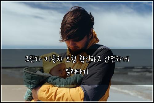그린카 자동차 보험 확인하고 안전하게 빌려타기