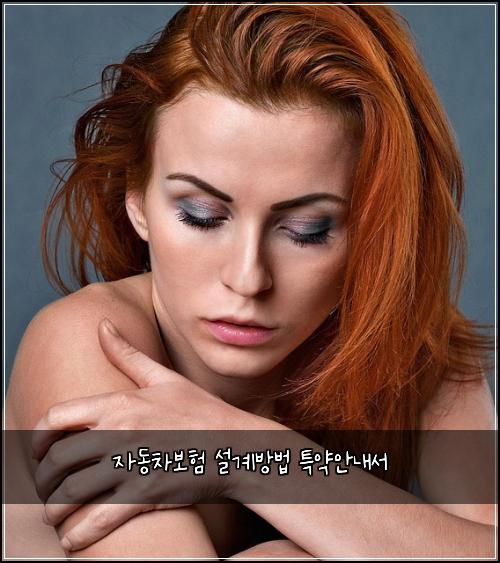 자동차보험 설계방법  특약안내서