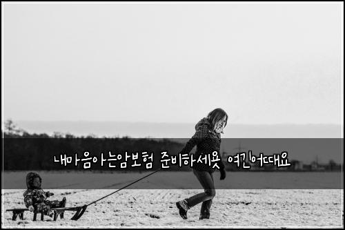 내마음아는암보험 준비하세욧  여긴어때요